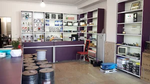 دایان الکترونیک