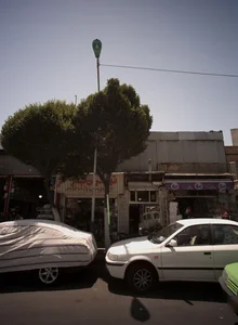 طباخی سیراب و شیردان 2
