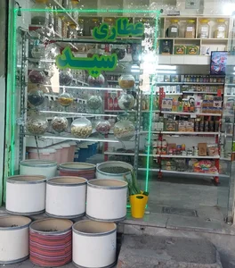 هایپر ارگانیک کریمی و عطاری سید 2