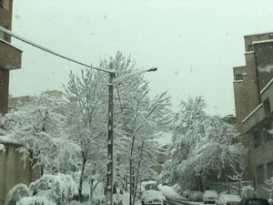 بنیاد امور بیماریهای خاص