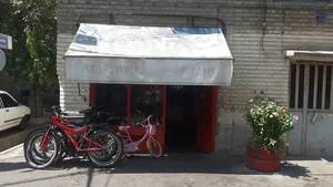 پارس دوچرخ 4