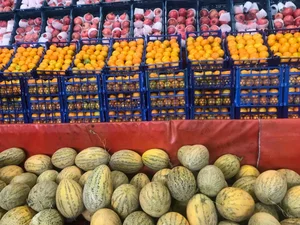 بازار میوه و تره بار خرم رودی 5