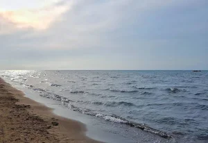 ساحل فریدونکنار