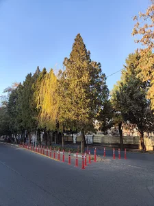 میدان السا