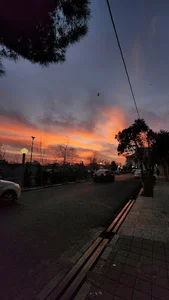 بوستان مدبر