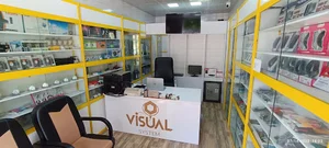 visual system