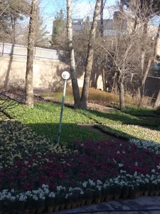 شهرداری چناران