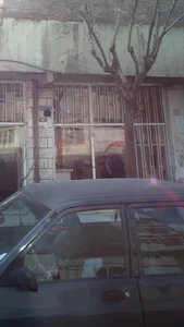 گوشت - مرغ