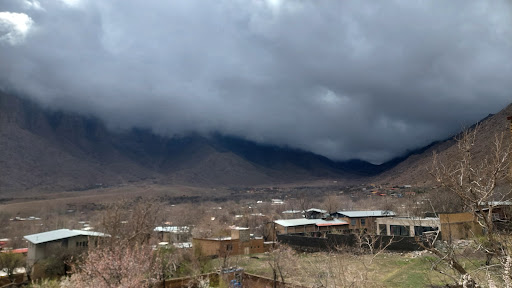 منشاد