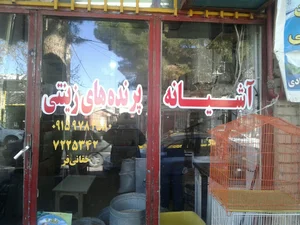 آشیانه پرنده های زینتی
