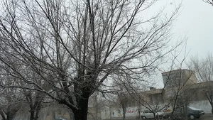 سالن زیبایی دیاموند سیرجان