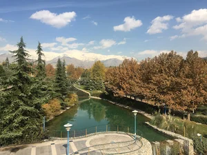 کافه شمرون