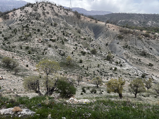 روستای گردشگری چشمه بید