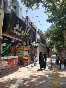 اغذیه گل یخ 3