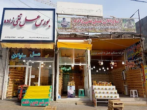 عسل تقی زاده