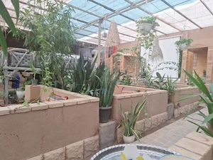 رستوران سنتی .کافی شاپ دربند