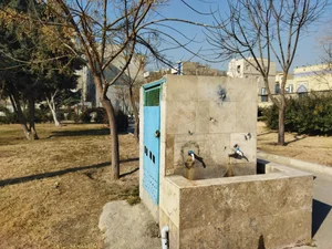 بوستان شمشاد 2