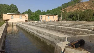 شرکت پرورش ماهی قزل مهتاب(مهندس سرمیلی)