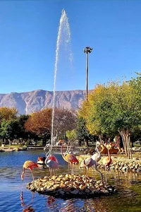 پارک ‌مرکزی رفیع