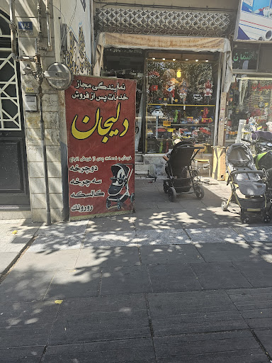 نمایندگی کالسکه دلیجان