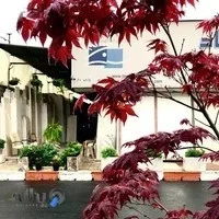 سنگ نما شسته پاسارگاد مرکزی