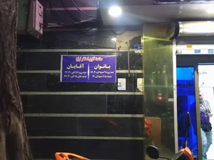 استخر و سرسره آبی ترنج 3