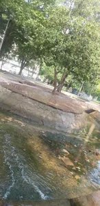 پارک گلسرخ 4
