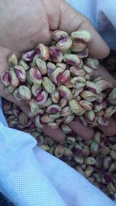 تولیدی گز زمانی اصلی شعبه ۲ 3