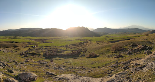 دشت دلی بیک