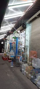 فروشگاه پرنده و لوازم و دان و قفس کیمیا