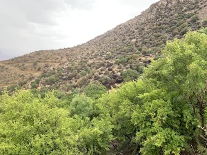 Bagh e Baghan