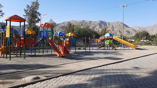 گلابگیری سنتی میراث گل کعبه