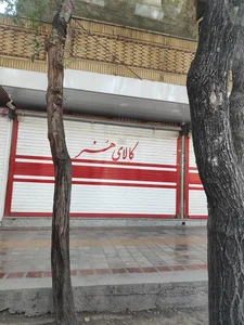 خرازی کاکتوس 3