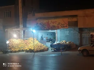 میوه سرای چهار فصل