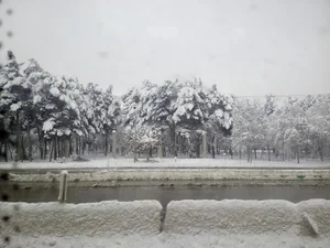 بوستان بانوان گلایل