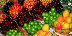 میوه فروشی حاج عباس و پسران