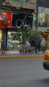 فروشگاه کفش چرم ملک