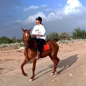 باشگاه سوار کاری غرور (شیخی)