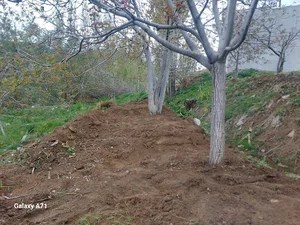 باغ گردو برادران یارمحمدی