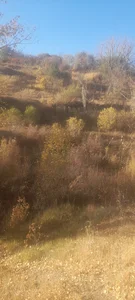 باغ ویلایی فرزاد