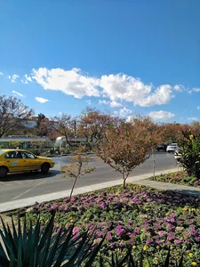 هاشمیه