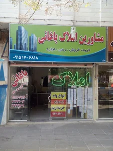 املاک باغانی