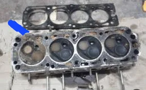 قطعه شویی طاوسی