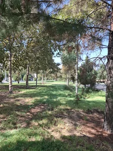 فضای سبز