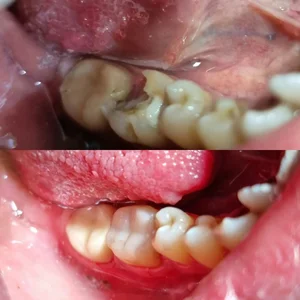 کلینیک دندان پزشکی دکتر یگانه 2