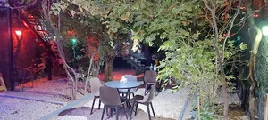 فست فود پاریس