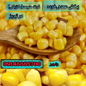 پروتئین امیر 3