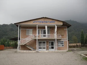 داروسازی گیاه اسانس