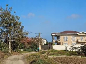 تجاری مسکونی عیسی کامجو