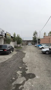 داینو گرگان